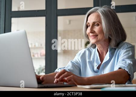 Smiling mature middle aged woman using laptop computer sitting at workplace. Stock Photo