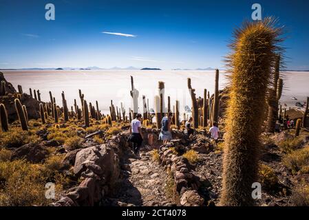 Cactus and Isla Incahuasi (aka Fish Island or Inka Wasi), Uyuni Salt ...