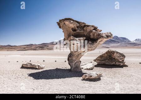 Arbol de Piedra (stone tree), a lava cooled rock formation in the Siloli Desert (part of Atacama Desert) in the Altiplano of Bolivia, Eduardo Avaroa Andean Fauna National Reserve, South America Stock Photo