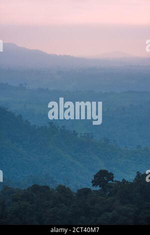 Misty Choco Cloud Forest at sunset, Ecuador Stock Photo