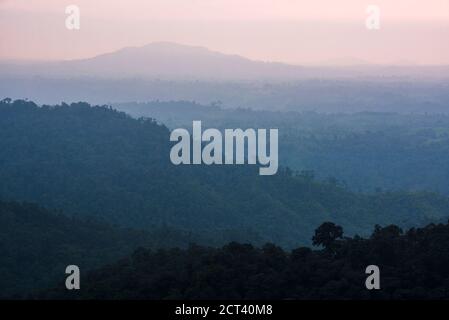 Misty Choco Forest at sunset, a rainforest in the Pichincha Province of Ecuador Stock Photo