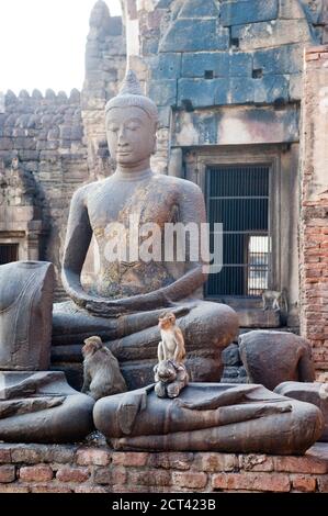 Two Monkeys on a Buddha Statue at Phra Prang Sam Yot Buddhist Temple, Lopburi, Thailand, Southeast Asia Stock Photo
