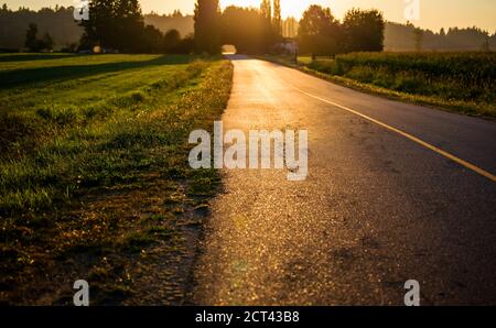 Golden light shines on empty rural road Stock Photo