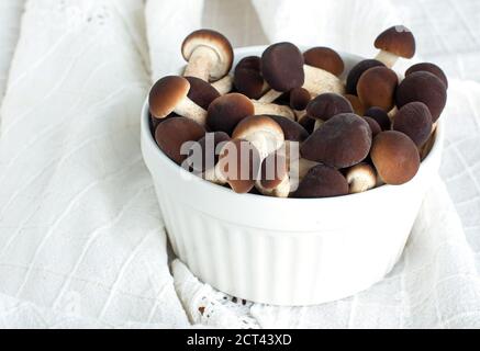 mushrooms, honey mushrooms in a plate, on sacking. Copy space Stock Photo