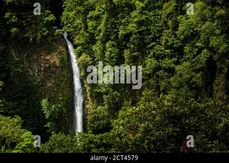 La Fortuna Waterfall, Alajuela Province, Costa Rica, Central America