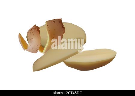 Peeled tuber Potatoes. Vector illustration Vegetarian food Stock Vector