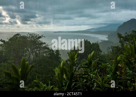 Torrential rain storm in the rainforest at Uvita, Puntarenas Province, Pacific Coast of Costa Rica Stock Photo