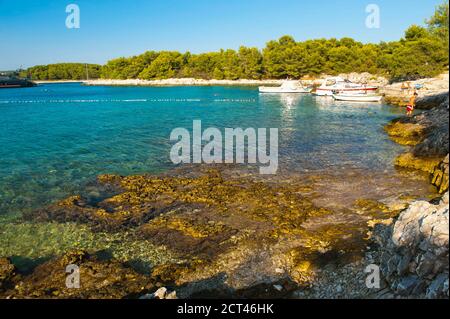 Photo of a rocky beach in the Pakleni Islands, Dalmatia, Croatia Stock Photo