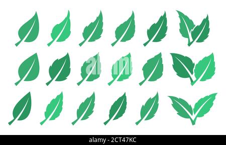 Green leaf set. Eco design Stock Vector