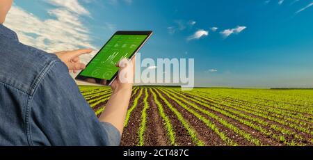 Futuristic technology trend in smart farm concept. Farmer use AI help agriculture to boost crop productivity with better plant health and weather moni Stock Photo