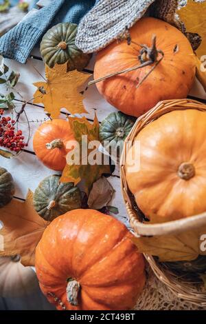 Concept Autumn natural background top view, pumpkins in wicker basket on wooden rustic table Stock Photo