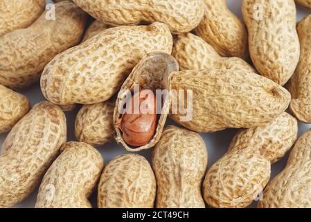 Closeup of red peanut kernel in opened shell on a bunch of whole pods Stock Photo