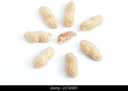 Red peanut kernel in opened shell surrounded by pots against white background Stock Photo