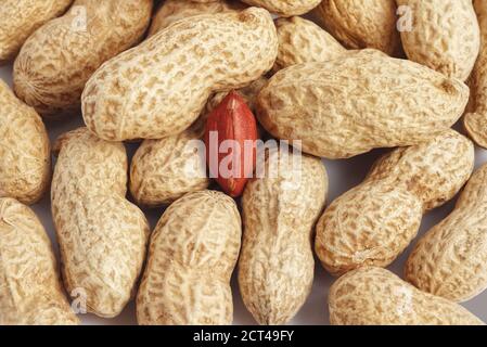 Closeup of red peanut kernel in bunch of whole shells Stock Photo