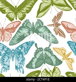 Seamless pattern with hand drawn pastel wallace's golden birdwing, ambulyx moth, white-banded hunter hawkmoth, madagascan sunset moth, emerald Stock Vector