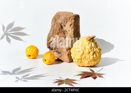 Modern Autumn composition with hard shadows. Pumpkins, quince and brick podium on white with Fall leaves. Stock Photo