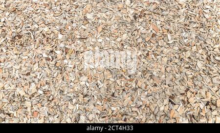 Mulch texture background of fresh wood chips Stock Photo