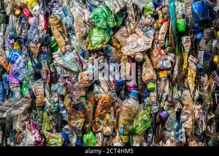 Plastic recycling centre, New Territories, Hong Kong, China Stock Photo