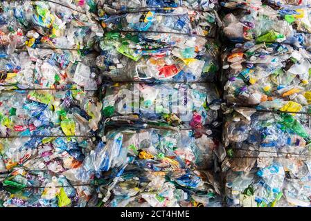 Plastic recycling centre, New Territories, Hong Kong, China Stock Photo