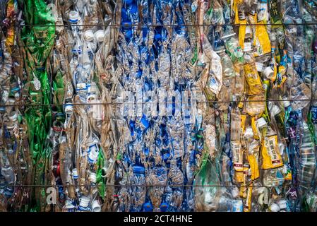 Plastic recycling centre, New Territories, Hong Kong, China Stock Photo