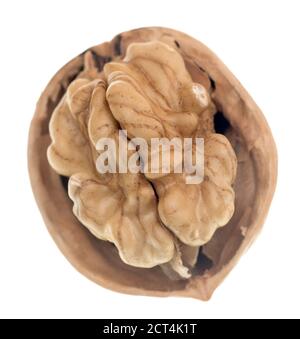 Walnut isolated on white background Stock Photo