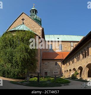 1000 year old rose tree, patio, cathedral, Hildesheim, Lower Saxony, Germany Stock Photo