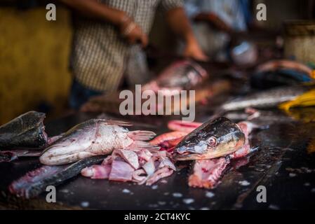 Fish for sale in Mapusa Market, Goa, India Stock Photo