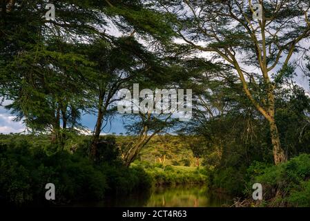 El Karama Ranch, Laikipia County, Kenya Stock Photo