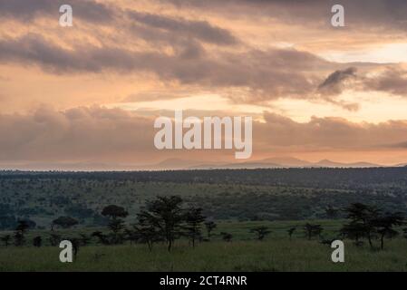 Sunrise at El Karama Ranch, Laikipia County, Kenya Stock Photo