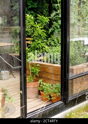 Modern Greenhouse Interior With Lush Green Plants Stock Photo - Alamy - Penthouses With Large Green Plants Interior Design