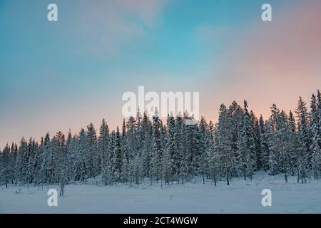 Dramatic sunset sky over snow covered winter forest and trees landscape, Yllasjarvi, Lapland, Finland Stock Photo