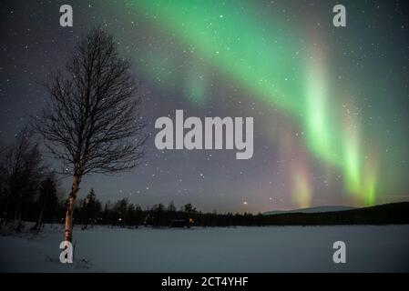 Amazing bright green Northern Lights display (Aurora Borealis) over trees in a forest in the beautiful, colourful night sky, Pallas-Yllästunturi National Park, Lapland, Finland, Arctic Circle Stock Photo
