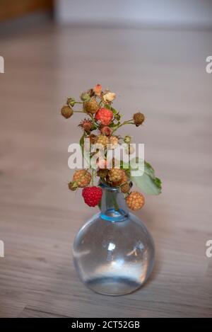 A branch of raspberry (Rubus idaeus) in vase. Juicy branch of raspberry in a glass vase Stock Photo