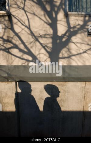 silhouetted shadows of two young kids, waiting for school to open, on a concrete wall that also has shadows of a tree and its branches Stock Photo