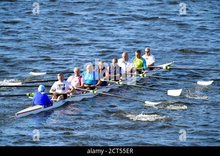 the Eights of seniors rowers going Stock Photo