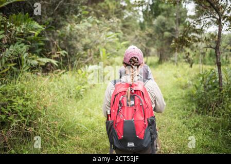 Tourists exploring Perinet Reserve, Andasibe-Mantadia National Park, Eastern Madagascar Stock Photo