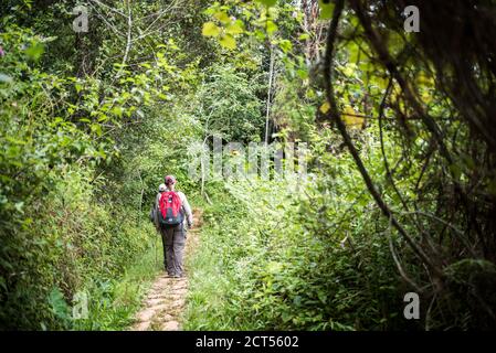 Tourists exploring Perinet Reserve, Andasibe-Mantadia National Park, Eastern Madagascar Stock Photo