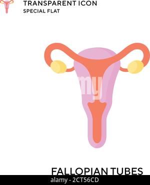 ectopic pregnancy female reproductive system women uterus Stock Vector ...