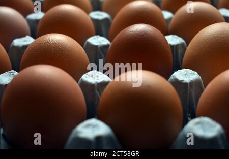 Fresh free range eggs from a local farm shop and sold in a in recycled paper tray. Stock Photo