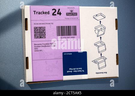 COVID-19, Care, Close-up, Cold And Flu, Color Image, Coronavirus, Cotton Swab, Cut Out, Data, Epidemic, Government, Healthcare,covid 19 home test kit Stock Photo