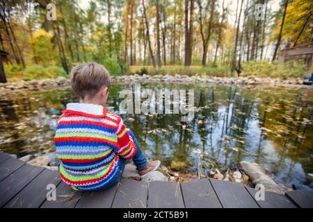 Child on an autumn walk. The boy sits on a background of autumn nature. Stock Photo