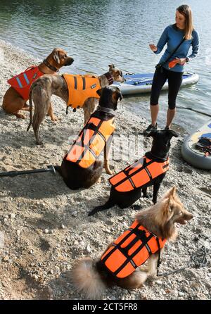 Leipzig, Germany. 20th Sep, 2020. Before the members of the 'Team Fit-Mensch und Hund' with their fitness trainer Monique Hunger take advantage of the beautiful late summer weather to go stand up paddling with their dogs equipped with life jackets on Lake Moritz near Leipzig, it is time to warm up. In the outdoor gym, the standing paddling with the four-legged friends trains the deep muscles, stability and balance by the constantly required balancing and promotes the trust between man and dog. Credit: Waltraud Grubitzsch/dpa-Zentralbild/ZB/dpa/Alamy Live News Stock Photo