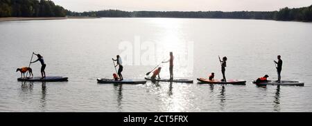 Leipzig, Germany. 20th Sep, 2020. At the end of the season, fitness trainer Monique Hunger (l) and members of the 'Team Fit-Mensch und Hund' Leipzig use the beautiful late summer weather for stand-up paddling with their dogs on Lake Moritz near Leipzig. In the outdoor gym, the standing paddling with the four-legged friends trains the deep muscles, stability and balance by the constantly required balancing and promotes the trust between man and dog. Credit: Waltraud Grubitzsch/dpa-Zentralbild/ZB/dpa/Alamy Live News Stock Photo