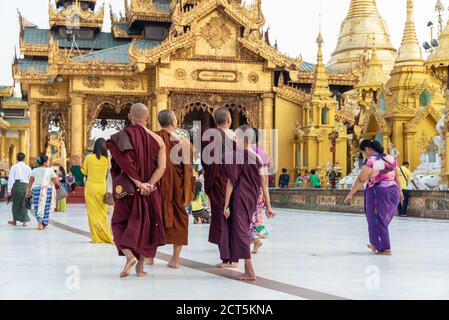 Monks at Shwedagon pagoda, in Yangon Burma Myanmar Stock Photo