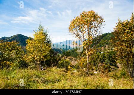 New Zealand Scenery, taken at Nelson, South Island, New Zealand Stock Photo