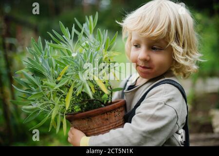 Portrait of small boy with eczema standing outdoors, holding potted plant. Stock Photo