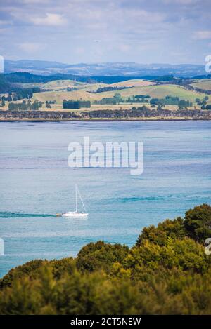 Sailing boat in the Bay of Islands seen from Russell, Northland Region, North Island, New Zealand Stock Photo