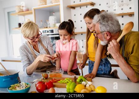 Portrait of happy elderly couple and grandchildren playing together Stock Photo