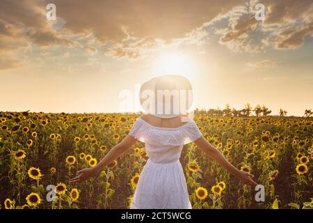 Beautiful young woman enjoying nature on the field of sunflowers. stands back and looks at the sunset, the girl raised her hands in the air, beautiful Stock Photo