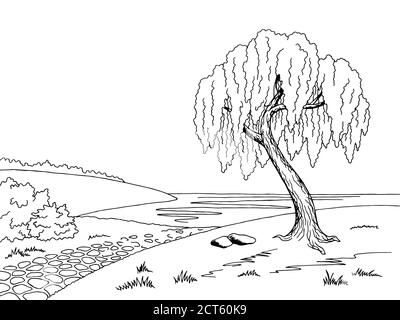 Old road willow tree graphic art black white landscape sketch illustration vector Stock Vector